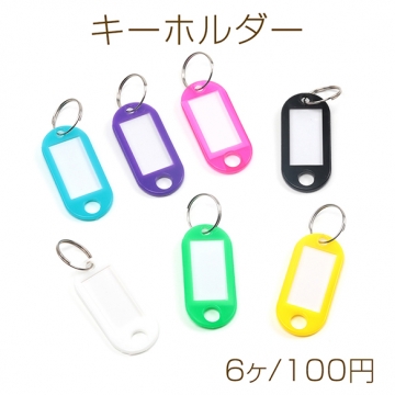 キーホルダー ネームタグ プラスチック タグキーホルダー リング付き荷物 オフィス ホテル用 約22×48mm（6ヶ）